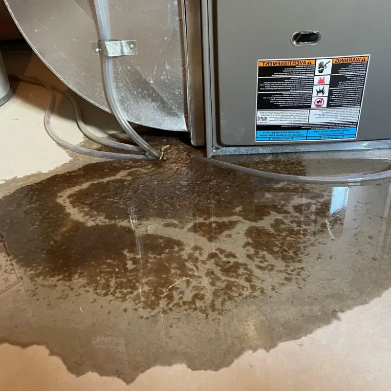 Pipe Burst and Leak Restoration in Marbletown, NY